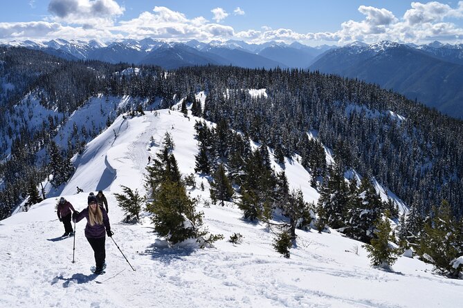 Hurricane Ridge Guided Snowshoe Tour in Olympic National Park - Planning your day around Port Angeles