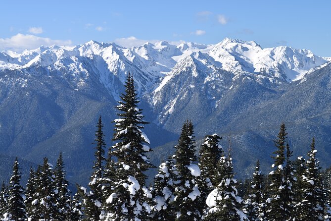 Hurricane Ridge Guided Snowshoe Tour in Olympic National Park - Four hours of snowshoeing at Hurricane Ridge
