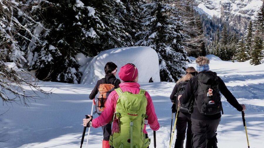 Innsbruck: Priv. Guided Snowy Mountain Hike /Snowshoe´s - A private winter day above Innsbruck
