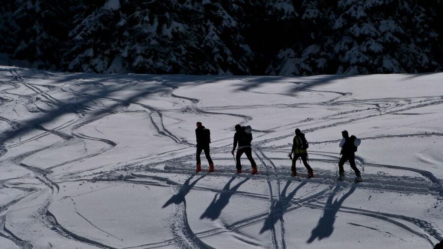 Innsbruck: Priv. Guided Snowy Mountain Hike /Snowshoe´s - Why the guide matters on snowy ground