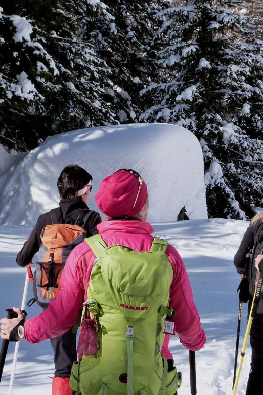 Innsbruck: Priv. Guided Snowy Mountain Hike /Snowshoe´s - Choosing between Hafelekar and Patscherkofel