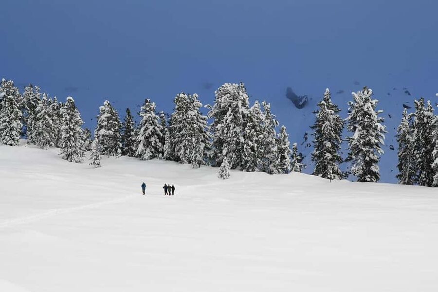 Innsbruck: Snowshoe Tours with Tyrolean Guide Transfer inkl. - Snowshoes, crampons, and changing winter conditions