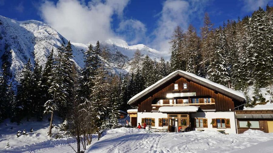Innsbruck: Snowshoe Tours with Tyrolean Guide Transfer inkl. - Learning from David on the trail