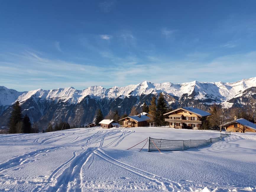 Interlaken: All-inclusive Half-day Ski Taster for beginners - Practical details that can save you trouble