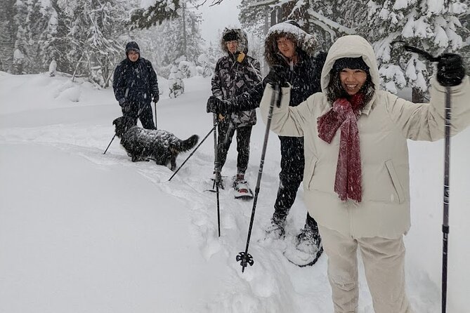 Introductory Guided Snowshoe Tour - Entering Tahoe National Forest on loop trails