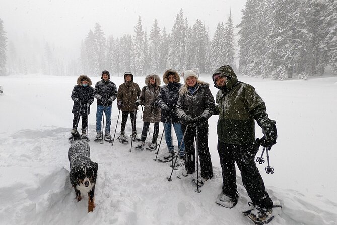 Introductory Guided Snowshoe Tour - Guides, questions, and the pace of a small group