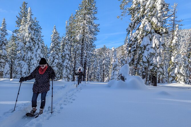 Introductory Guided Snowshoe Tour - Is $75 a fair price?