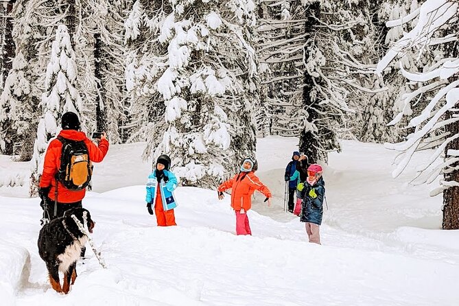Introductory Guided Snowshoe Tour - Olympic Valley views toward Alpine Meadows and Palisades Tahoe
