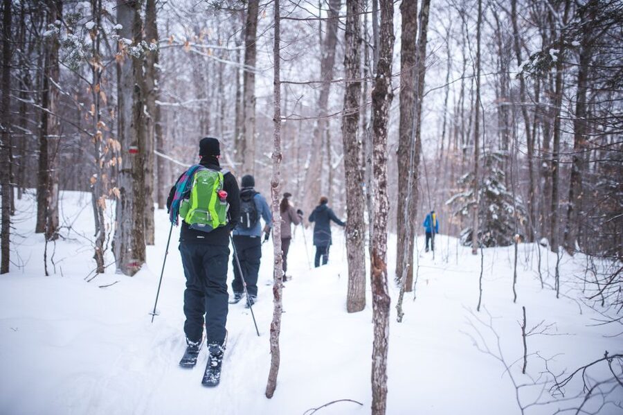 Jacques-Cartier National Park: Skiing Excursion - Key points to know before you book
