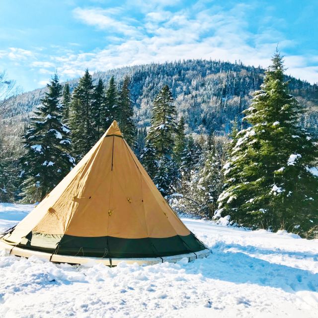 Jacques-Cartier National Park: Skiing Excursion - Quiet trails, snowy forest, and wildlife signs