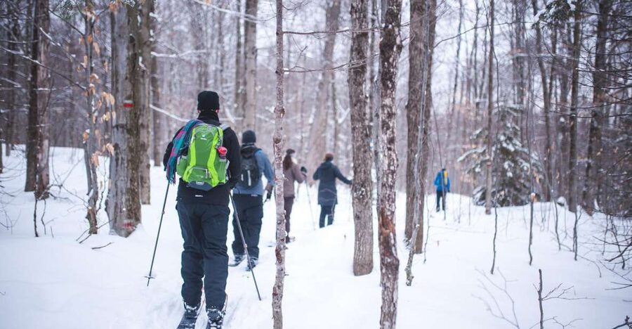 Jacques-Cartier National Park: Skiing Excursion - Who should book this excursion?