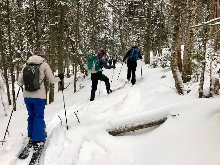 Jacques-Cartier National Park: Skiing Excursion - Timing, gear, and practical advice