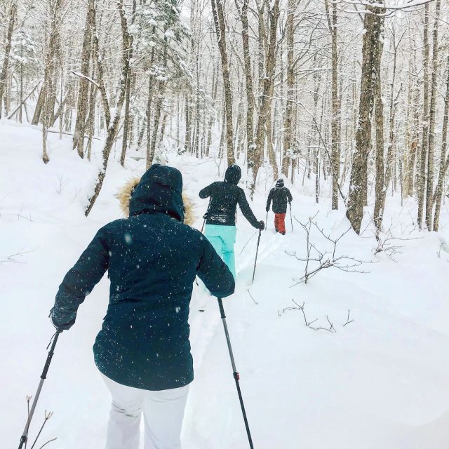 Jacques-Cartier National Park: Skiing Excursion - The ride from Quebec City to the park