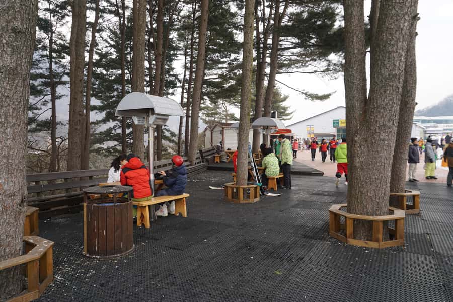 Jisan Forest Resort: Ski Full-Day Tour or Shuttle from Seoul - The shuttle-only choice for non-skiers