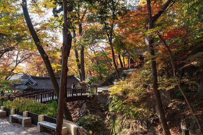 Jisan Forest Ski Resort and Everland 1 Day Tour - What the $58.83 Price Really Covers