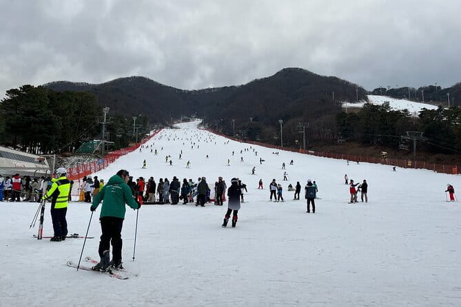 Jisan Forest Ski Resort and Everland 1 Day Tour - The Guide Can Make the Tight Schedule Easier