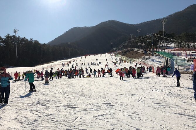 Jisan Ski One Day Tour - Jisan Forest Resort: what you get on the slopes
