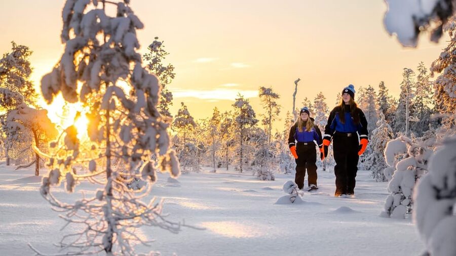 Kemi-Tornio: Nature tour with snowshoes - Into the snowy forest from Kemi