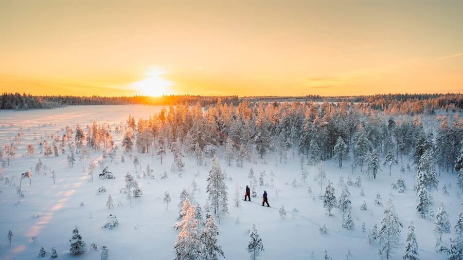 Kemi-Tornio: Nature tour with snowshoes - What the snowshoe walk feels like