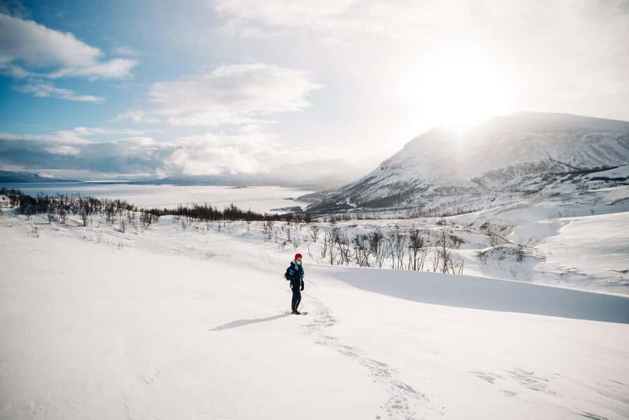 Kiruna: Daytime Snowshoe Hike - Snowshoes turn deep snow into a proper walk