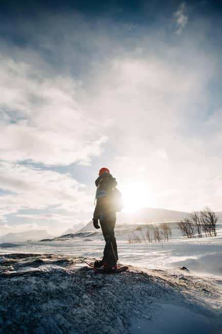 Kiruna: Daytime Snowshoe Hike - Guides make the difference