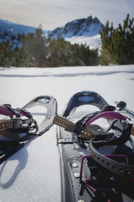 Kiruna: Daytime Snowshoe Hike - Hotel pickup keeps the morning simple