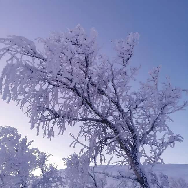 Kiruna: Daytime Snowshoe Hike - Dressing for minus 30 degrees