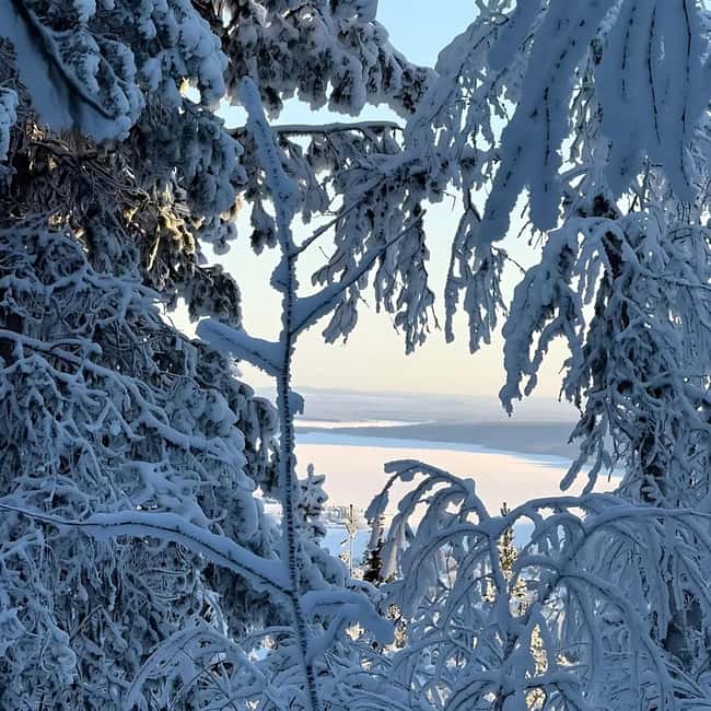 Kiruna: Daytime Snowshoe Hike - Who will enjoy this most