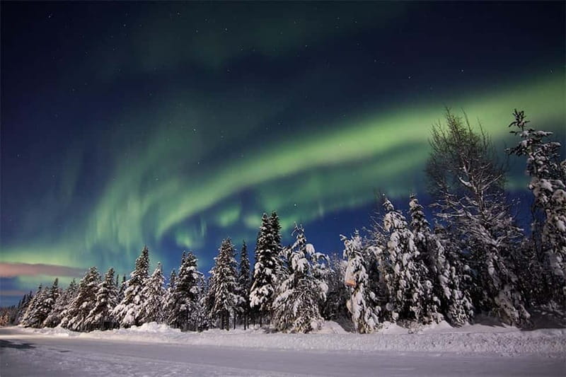 Kiruna: Snowshoe Trek with Aurora Hunt and Warm Beverage - Guides who add more than directions
