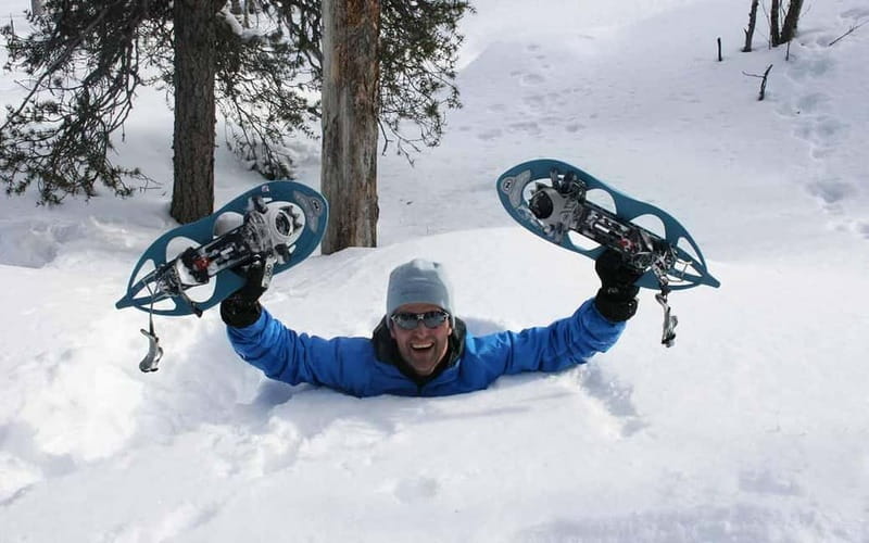 Kiruna: Snowshoe Trek with Aurora Hunt and Warm Beverage - Walking into Kiruna’s winter forest