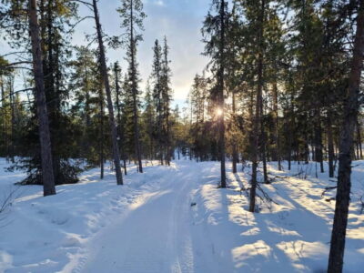 Kiruna: Snowshoe Trek with Warm Beverage and Sandwich