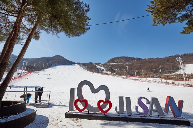 Korea Ski Tour from Seoul - Jisan Resort with Isaac Toast - Key points to know before booking