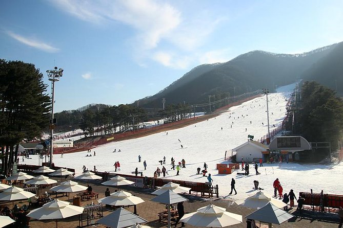 Korea Ski Tour from Seoul - Jisan Resort with Isaac Toast - Why Jisan works for a first ski day from Seoul