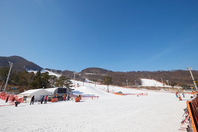 Korea Ski Tour from Seoul - Jisan Resort with Isaac Toast - The 120-minute lesson and free time afterward