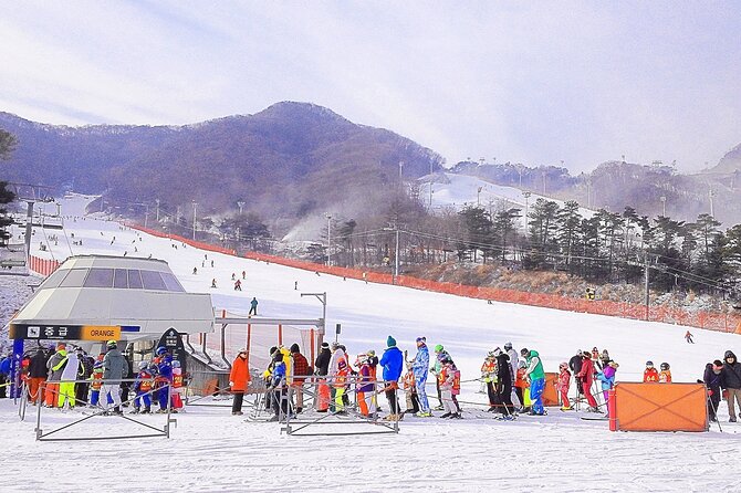 Korea Ski Tour from Seoul - Jisan Resort with Isaac Toast - Snow sledding for a lower-skill option