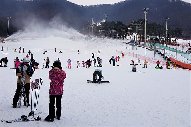 Korea Ski Tour from Seoul - Jisan Resort with Isaac Toast - What the low price really covers