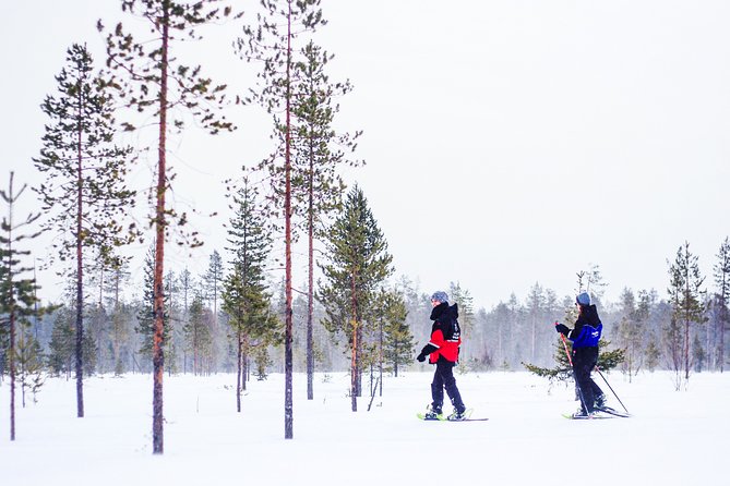 Korouoma Canyon Snowshoe Trip - Why Korouoma Canyon is worth the long ride