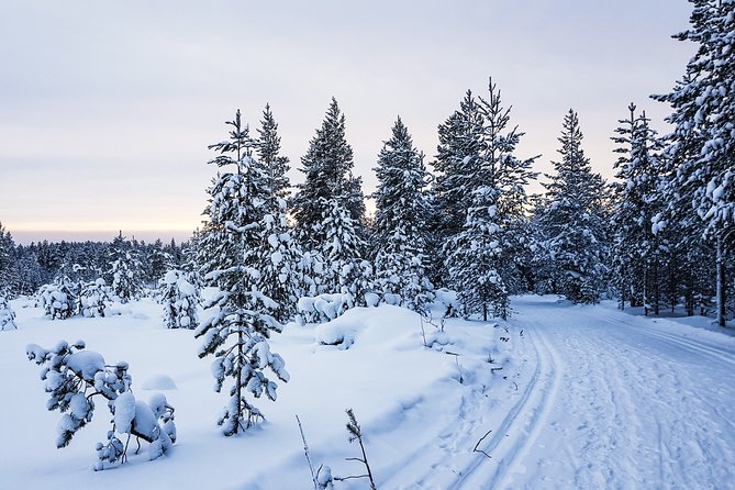 Korouoma Canyon Snowshoe Trip - Who should book this canyon trip?