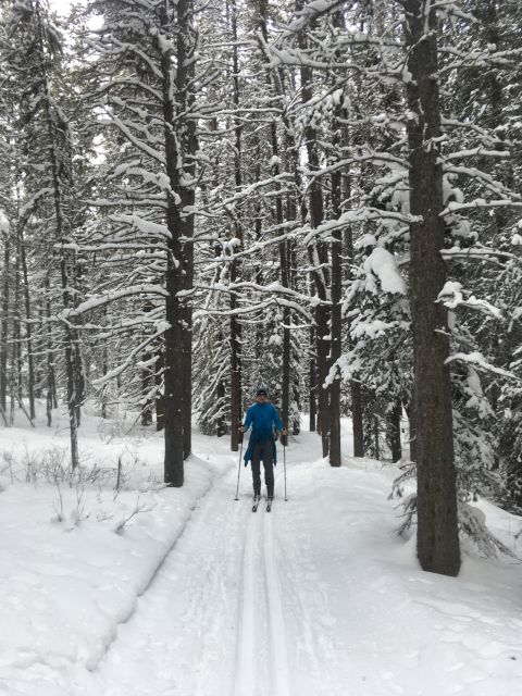 Lake Louise: Cross Country Skiing Lesson with Tour - Learning the basics beside Lake Louise