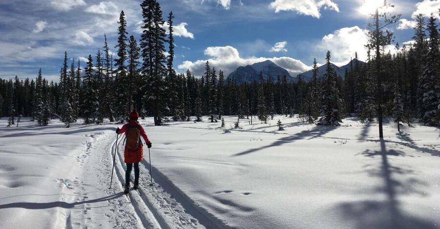 Lake Louise: Cross Country Skiing Lesson with Tour - Who will get the most from this outing