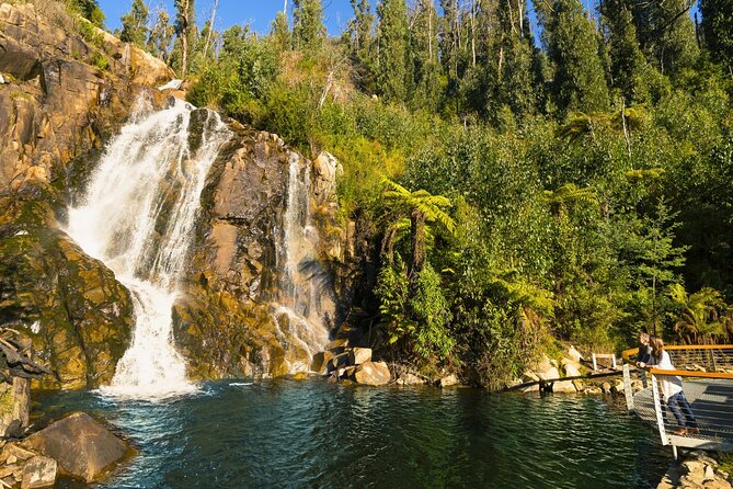 Lake Mountain Snow Tour - Steavenson Falls adds a quiet change of pace