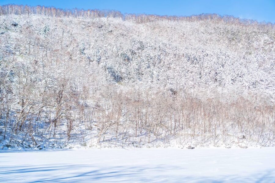 Lake Tachibana: Snowshoe to a frozen lake! - Descending toward frozen Lake Tachibana