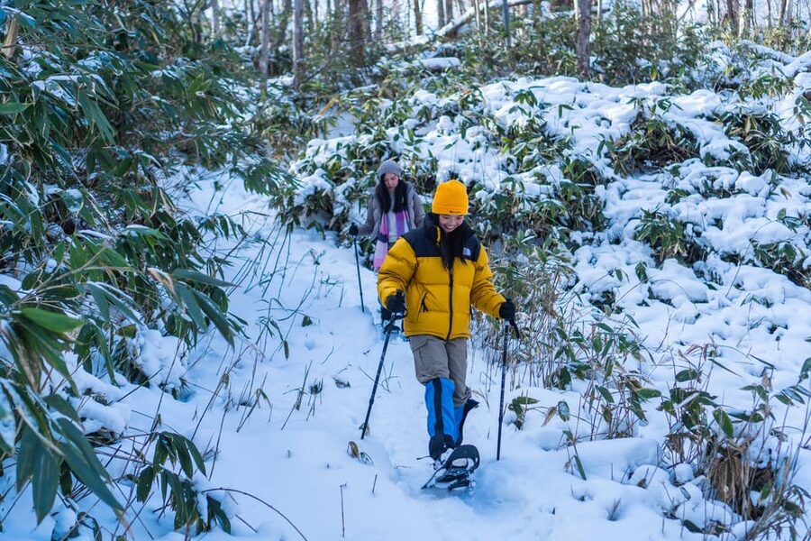 Lake Tachibana: Snowshoe to a frozen lake! - What the $96 price includes