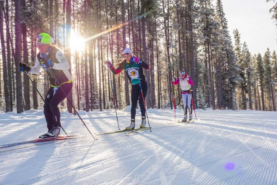 Lake Tahoe: Guided Cross Country Skiing Tour - Key points to know before you book