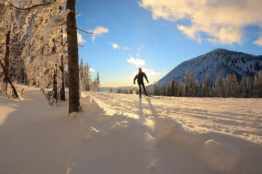 Lake Tahoe: Guided Cross Country Skiing Tour - Who will get the most from this outing