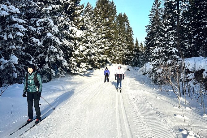 Learn Nordic Skiing - Private Class with Professional Instructor - What the 90-minute lesson covers