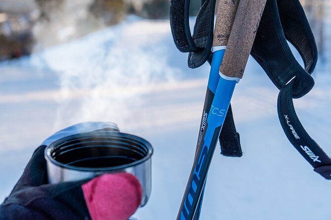 Learn Nordic Skiing - Private Class with Professional Instructor - Equipment rental and what the extra fee means