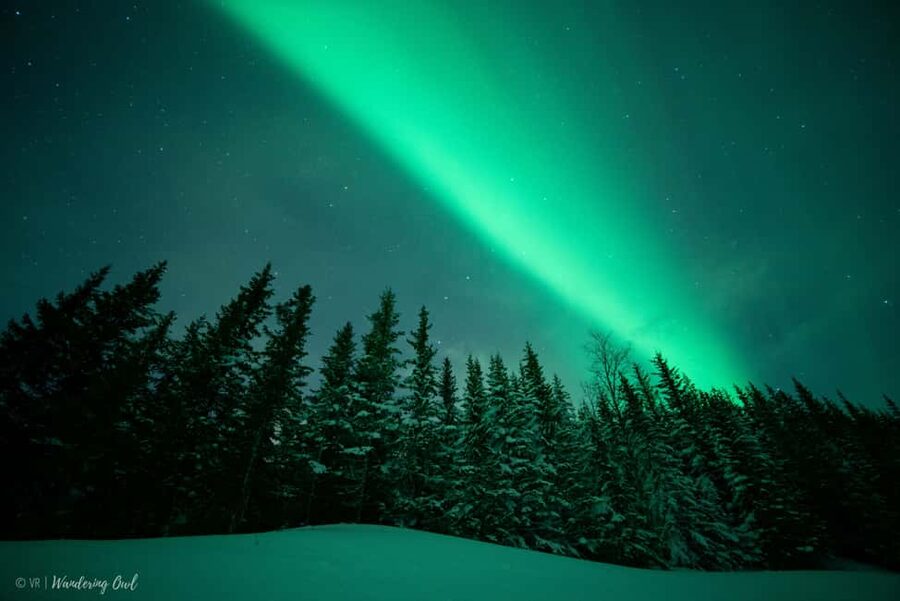 LEVI Adults Only Northern Lights Hunt with Snowshoeing - A campfire meal beneath the stars