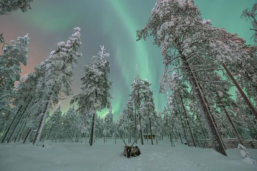 LEVI Adults Only Northern Lights Hunt with Snowshoeing - Staying warm at minus 20 degrees