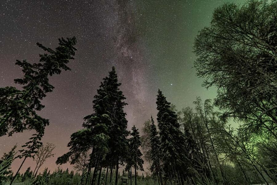 LEVI Adults Only Northern Lights Hunt with Snowshoeing - Who will enjoy this most